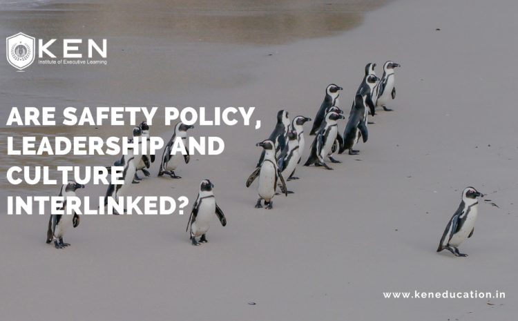  Are Safety Policy, Leadership And Culture Interlinked?