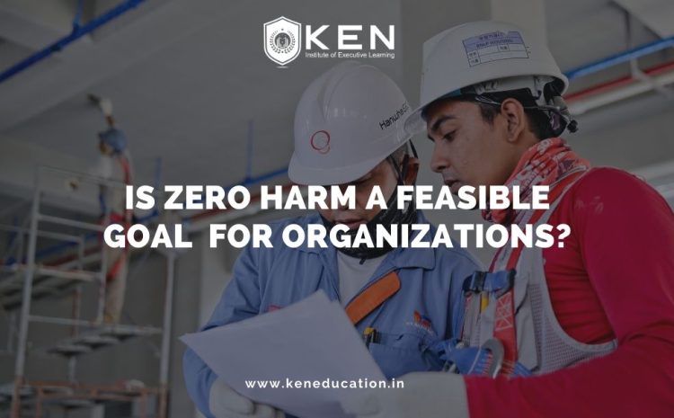  Is Zero Harm a Feasible Goal For Organizations?