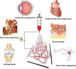 Tissue Engineering and Regenerative Medicine