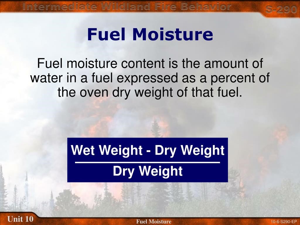 Fuel Moisture