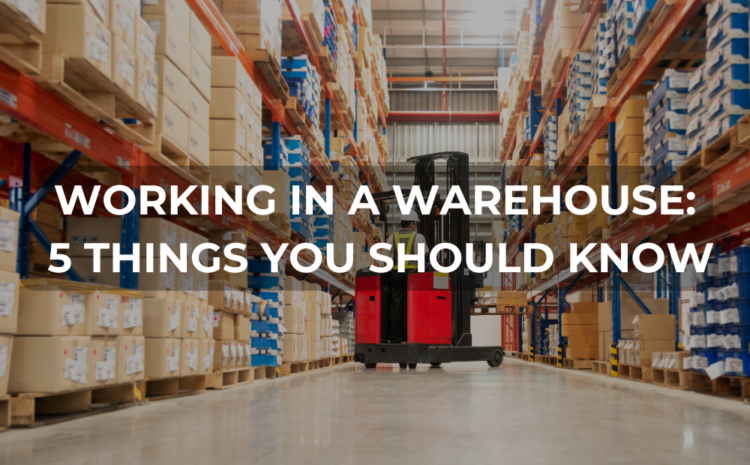  WORKING IN A WAREHOUSE:  5 THINGS YOU SHOULD KNOW