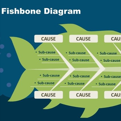 Fishbone Diagram